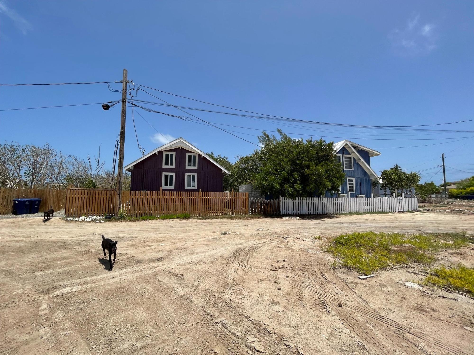 PURPLE HOUSE — photo 5