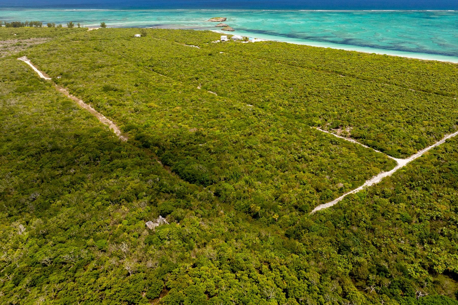 SANDY POINT UNDEVELOPED LAND