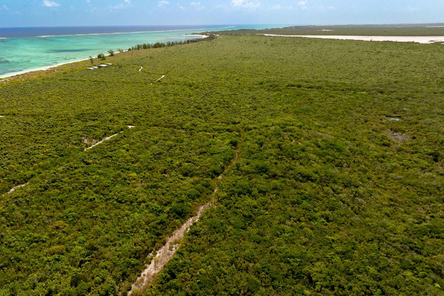 SANDY POINT UNDEVELOPED LAND