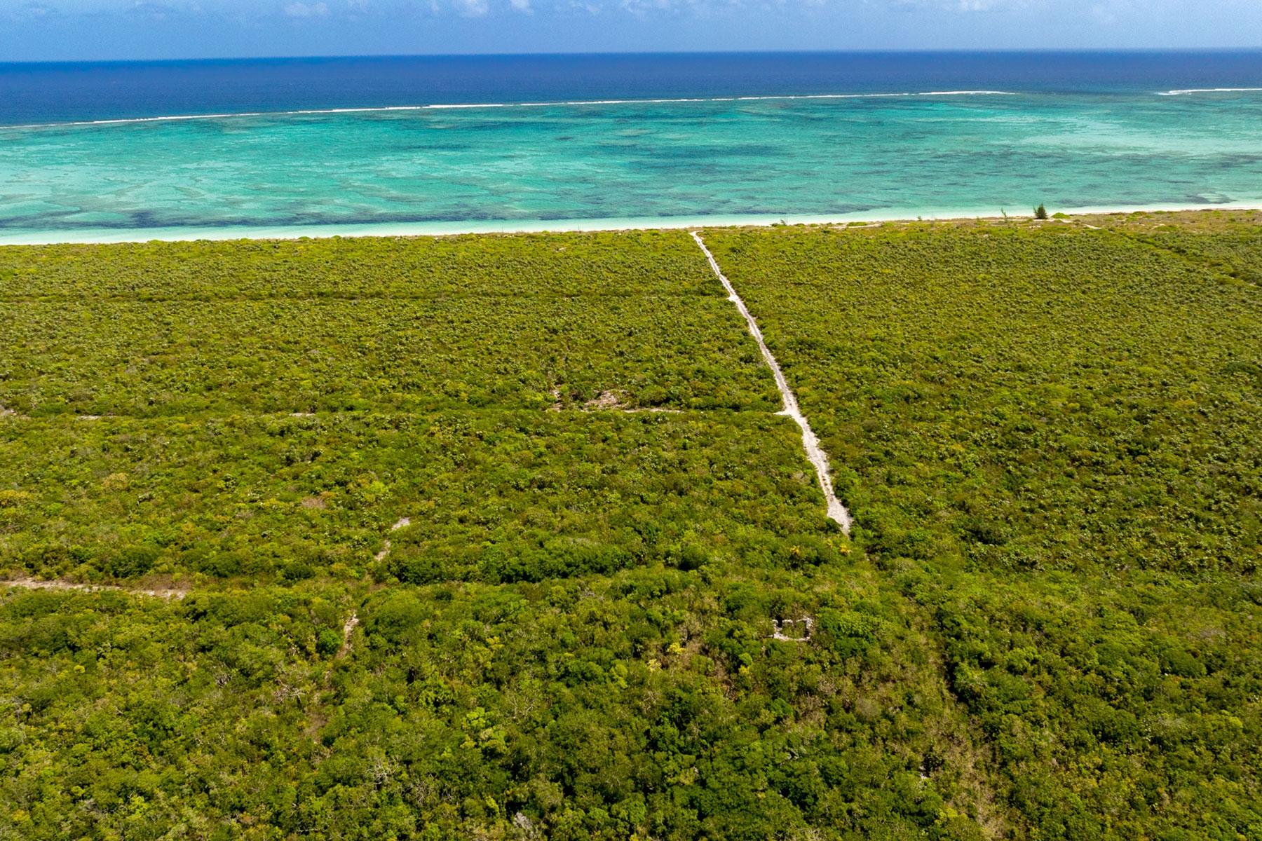 SANDY POINT UNDEVELOPED LAND