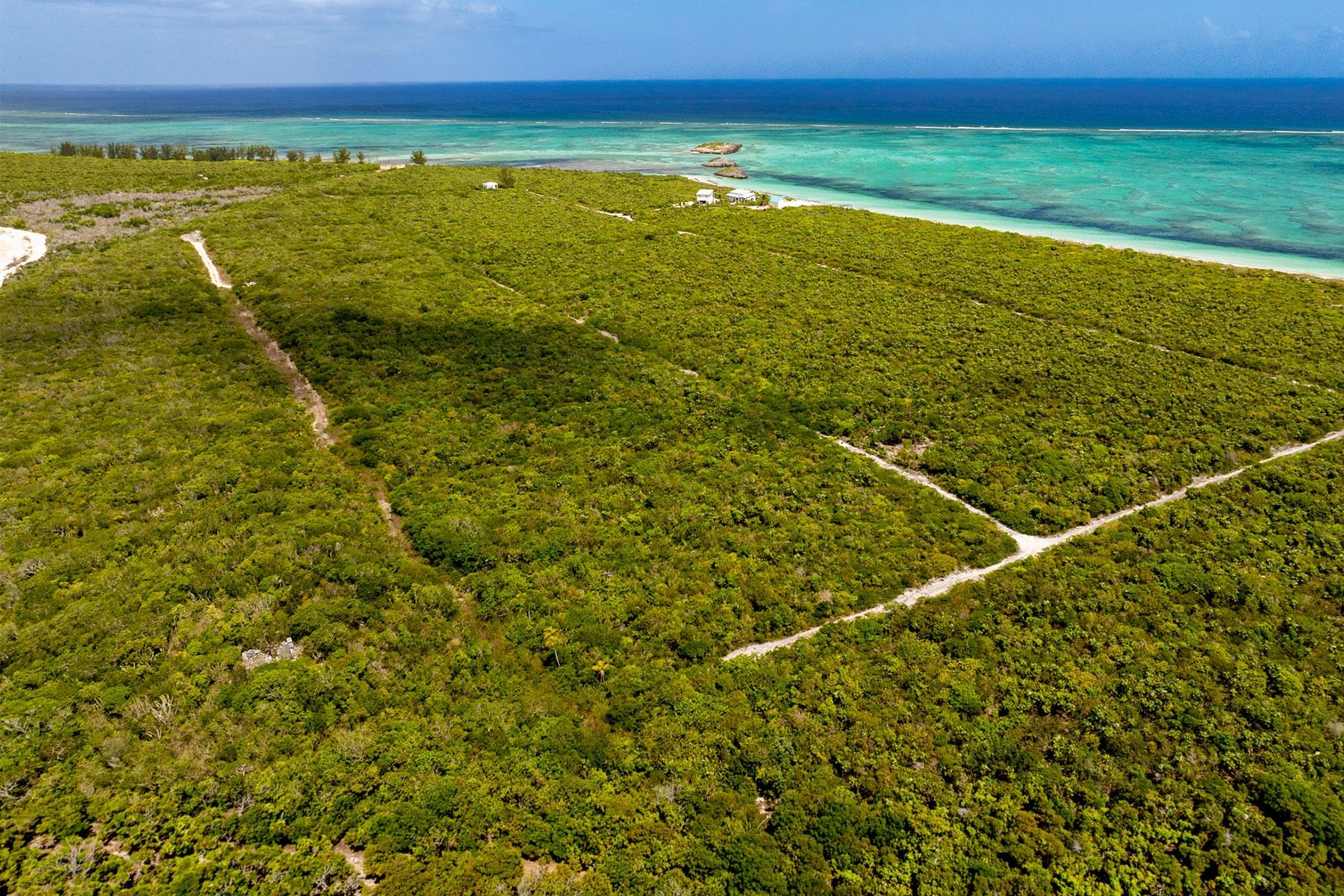 SANDY POINT UNDEVELOPED LAND