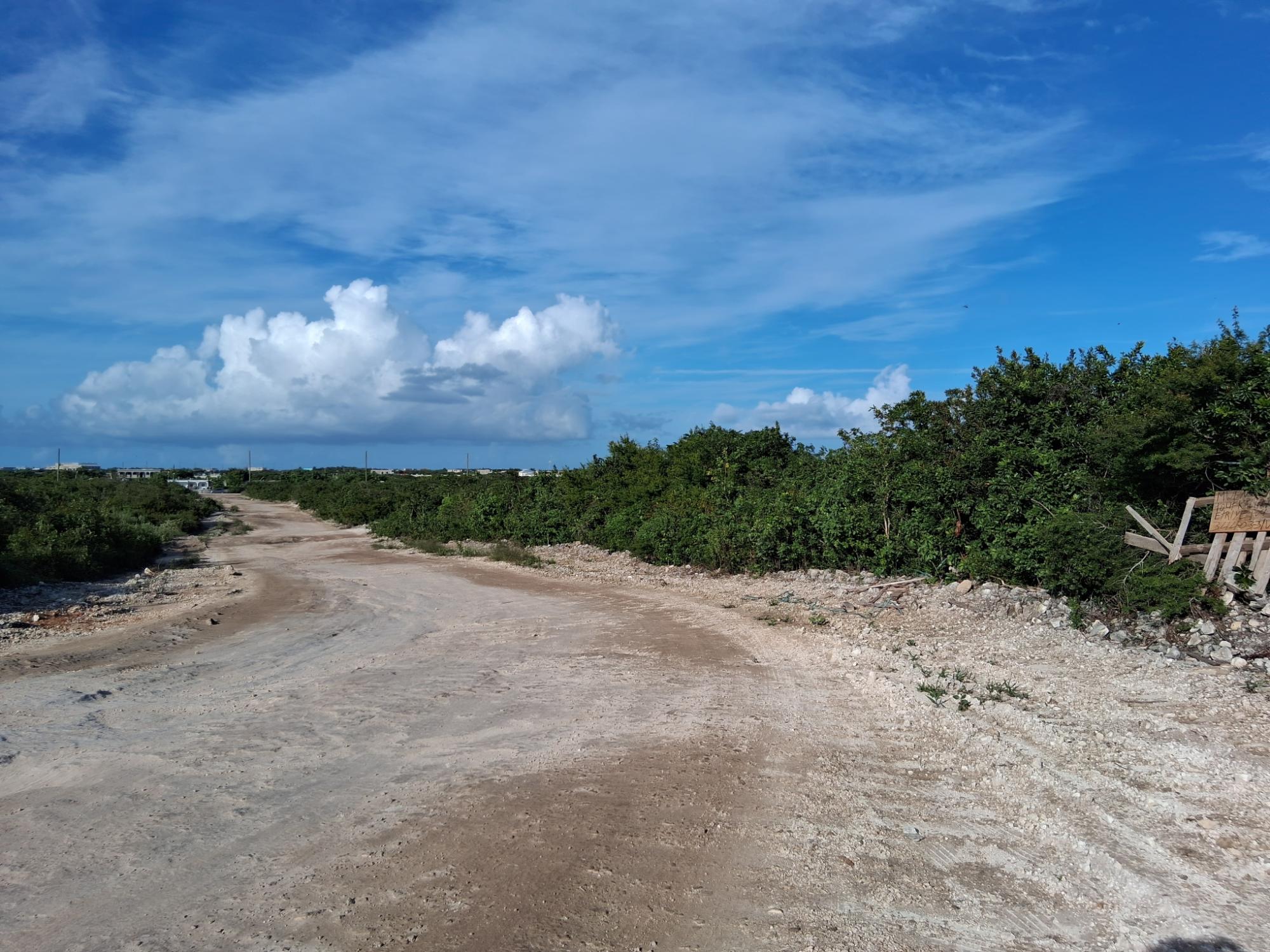 LOT 232 STAMERS PARK — photo 5