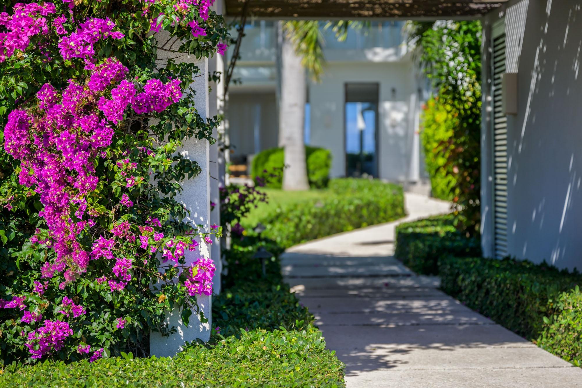 Beach Enclave Grace Bay - Villa 2