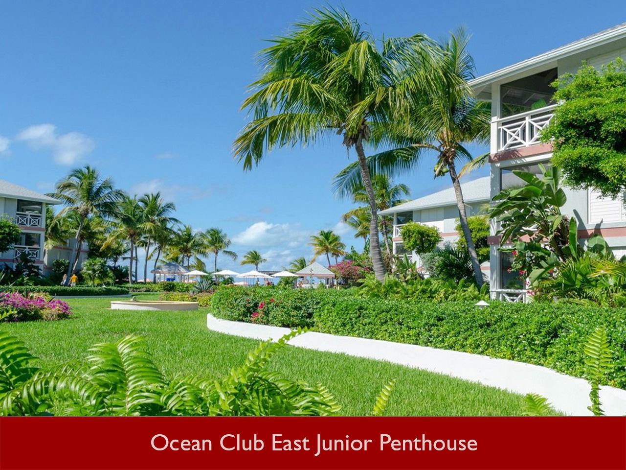 Ocean Club Resort Junior Penthouse