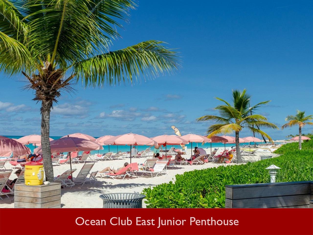 Ocean Club Resort Junior Penthouse