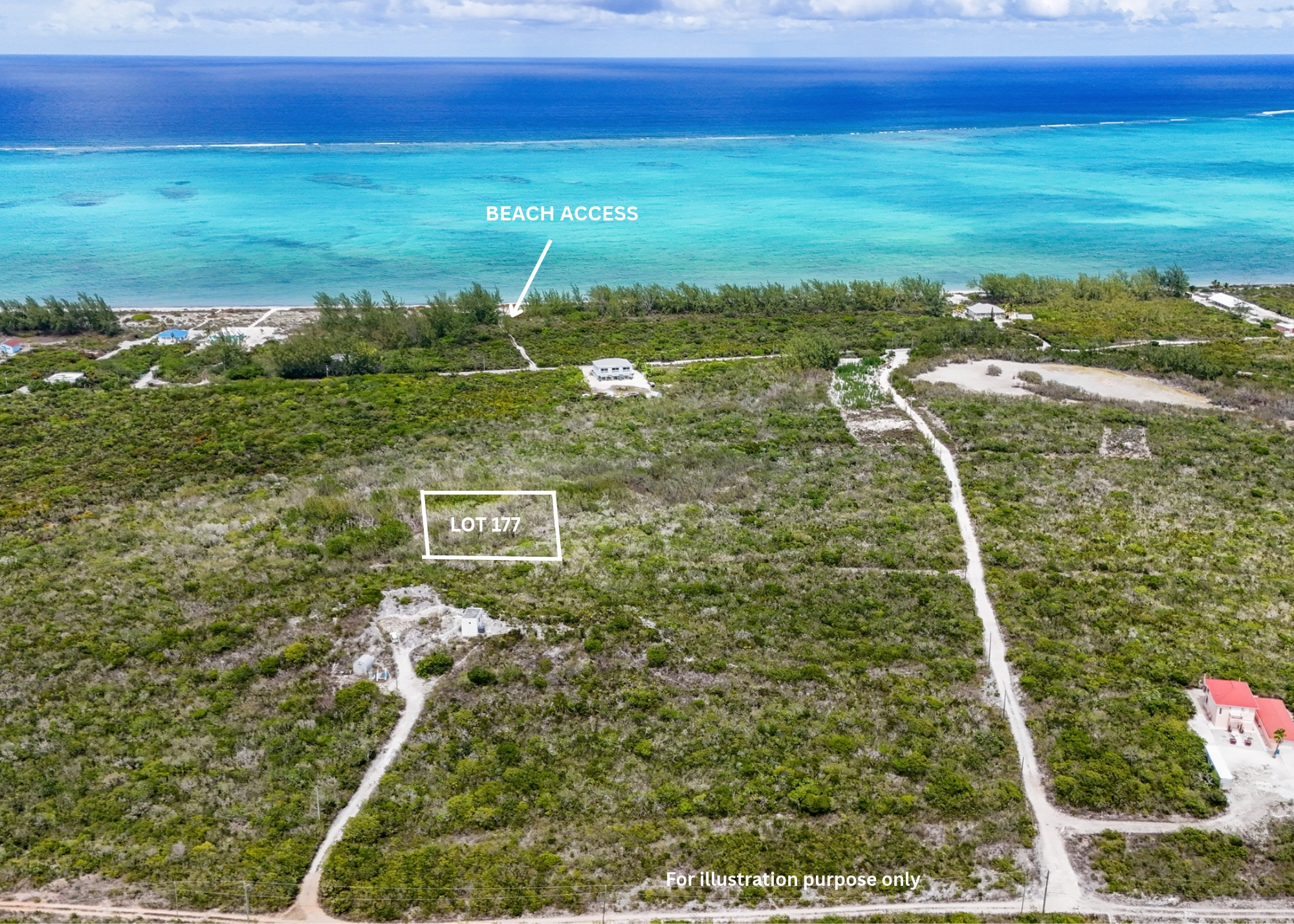 LOT 177 BAMBARRA — photo 3