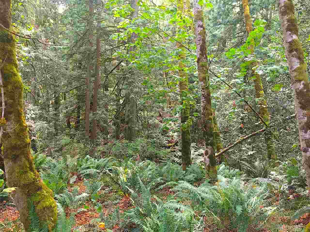 Listing Photo 13