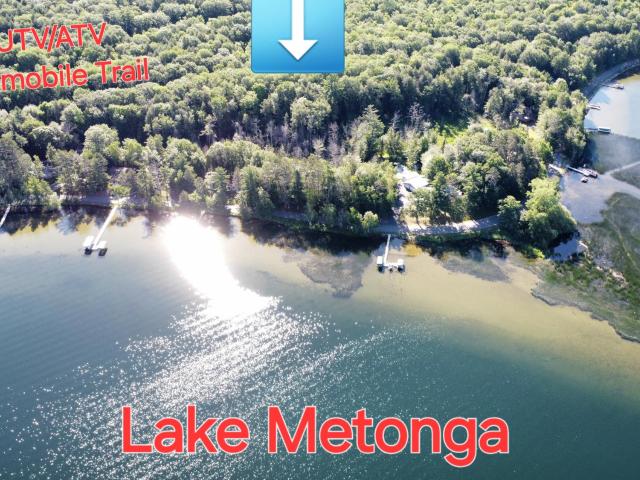 Metonga Lake lot picture
