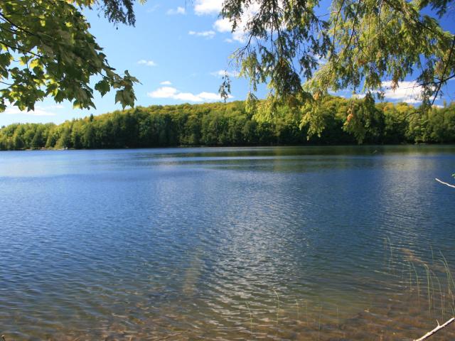 Hewitt Lake lot picture