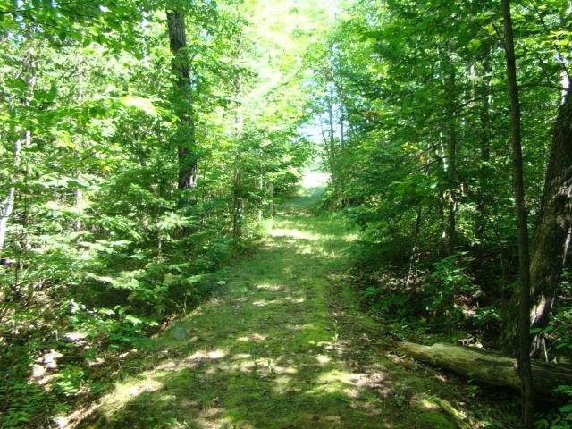 Listing Photo 17