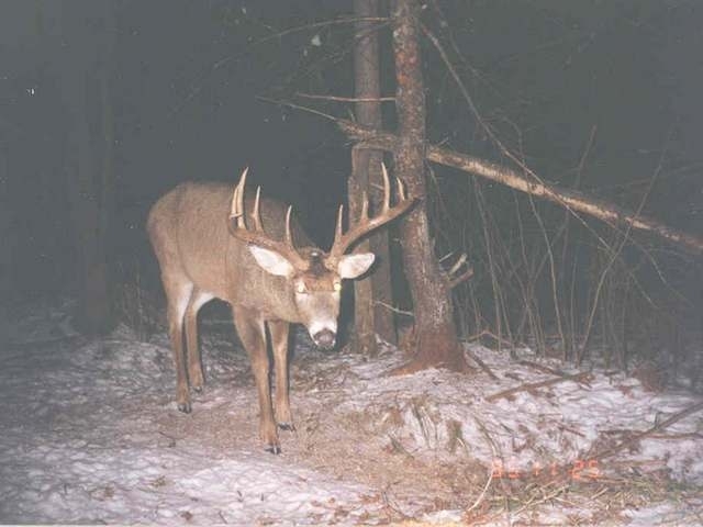 Listing Photo 9