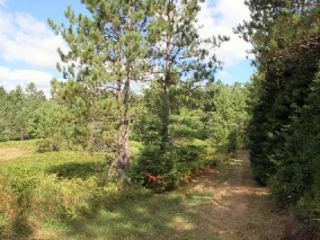Listing Photo 11
