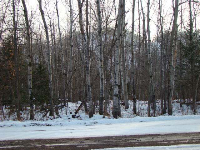 Listing Photo 11