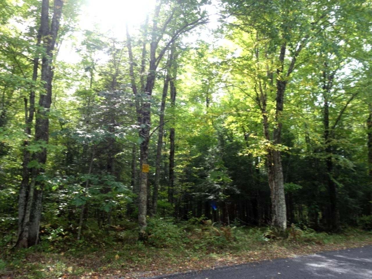 Listing Photo 6