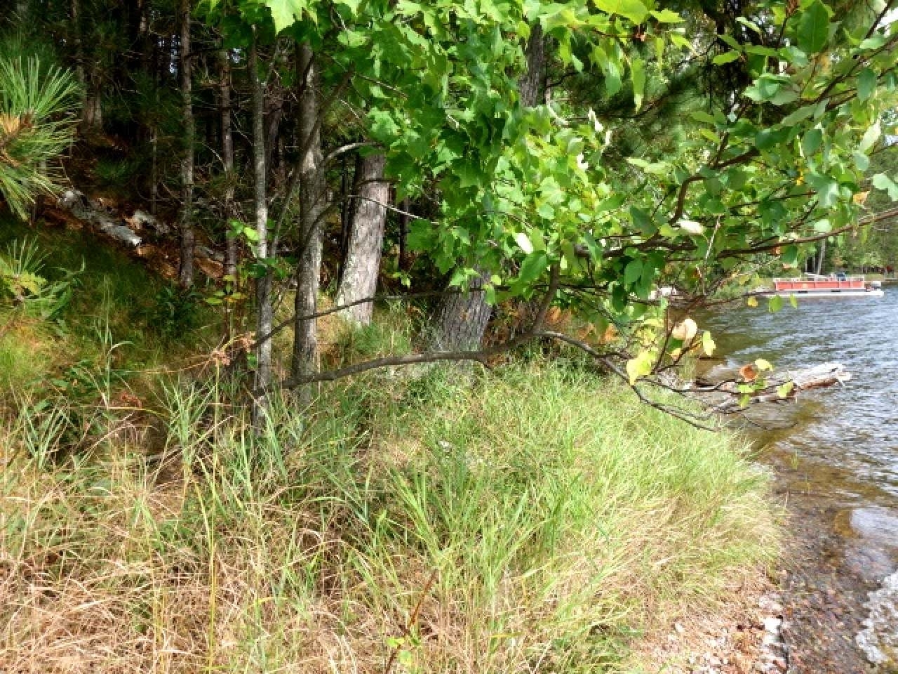 Listing Photo 7