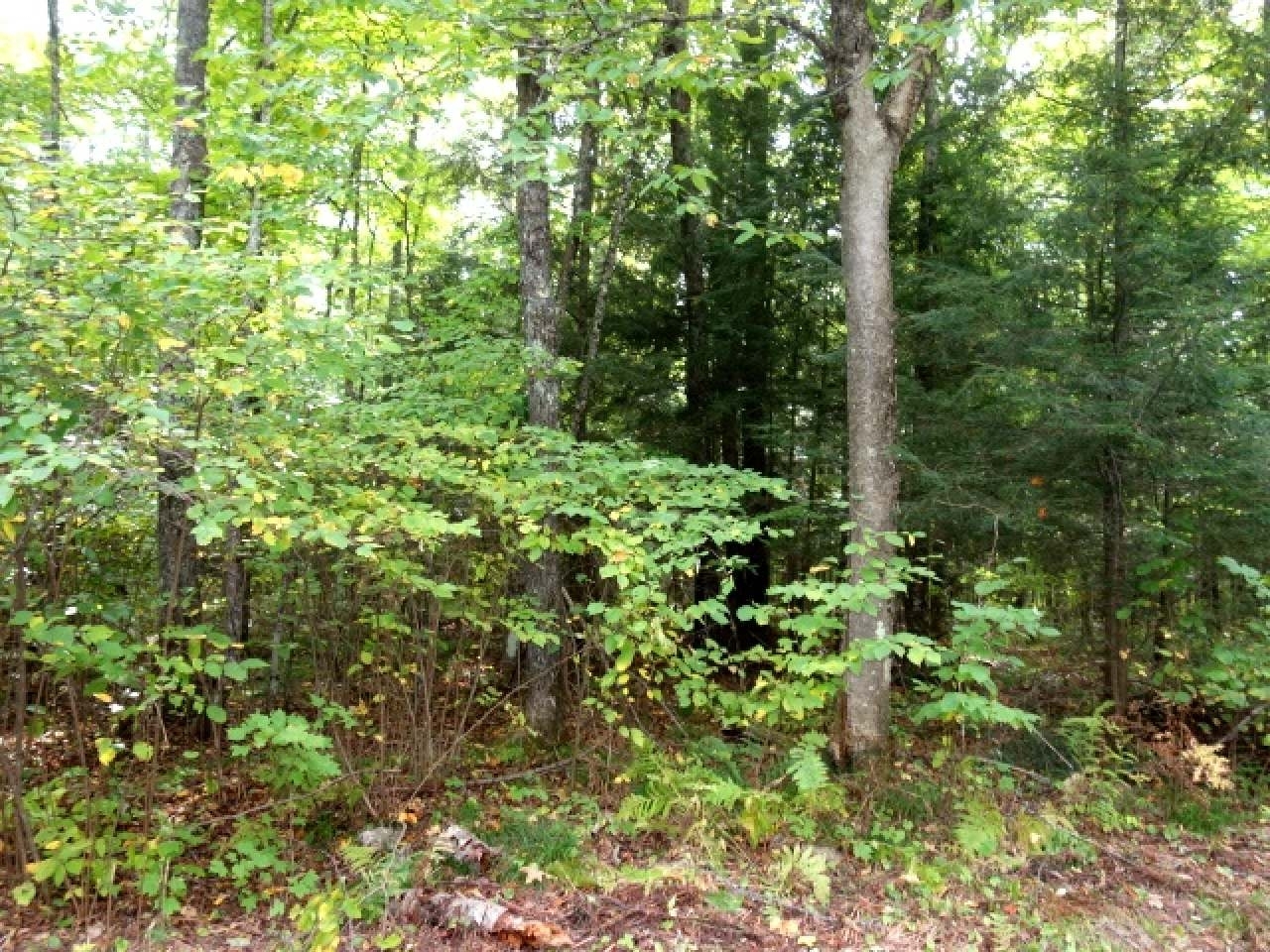 Listing Photo 9