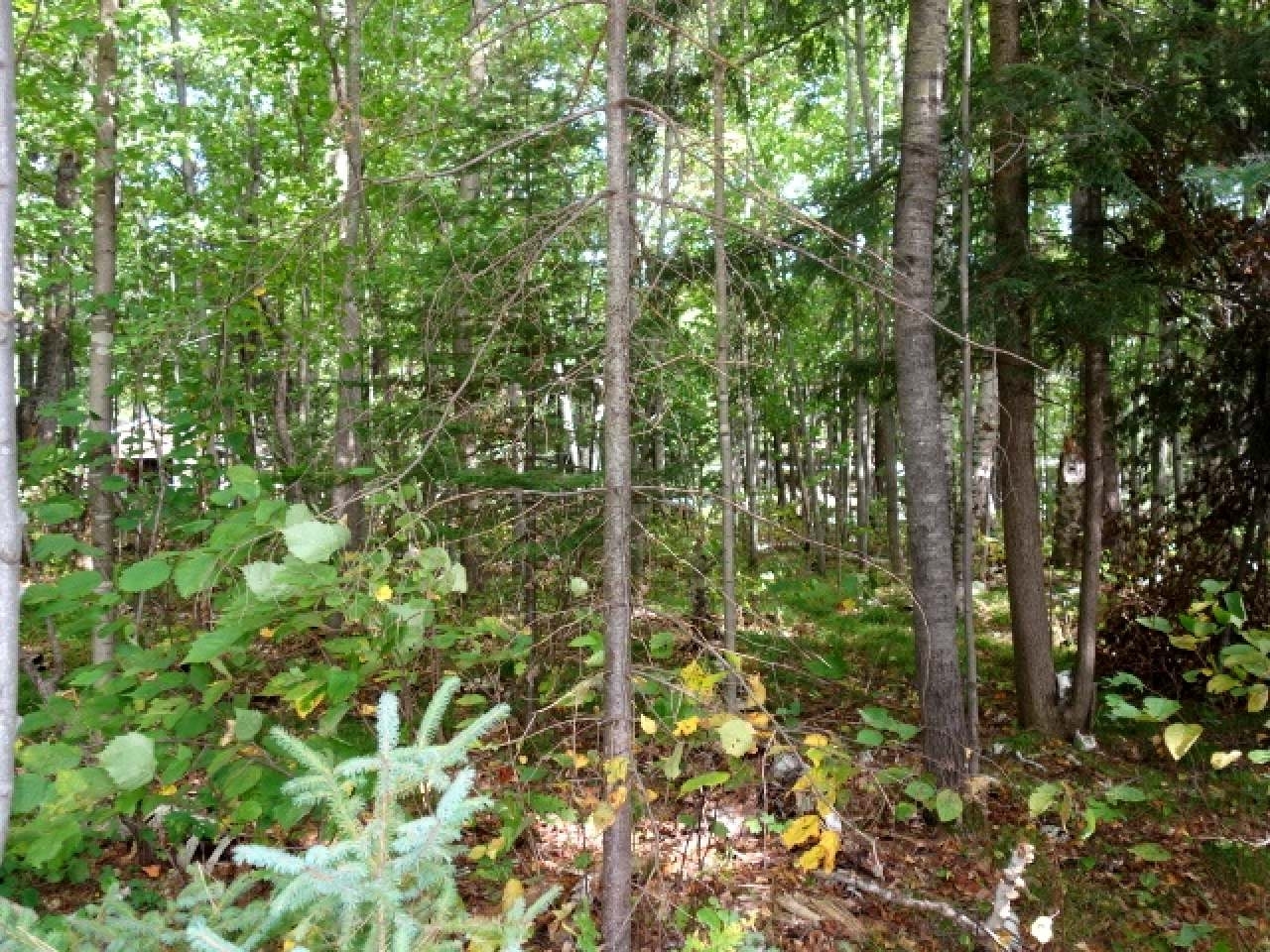 Listing Photo 10