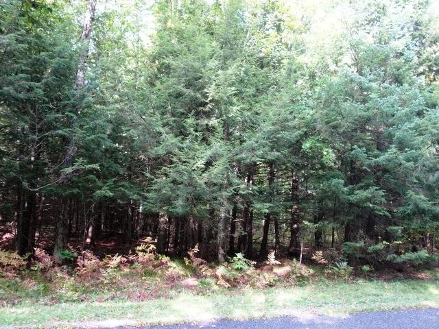 Listing Photo 13
