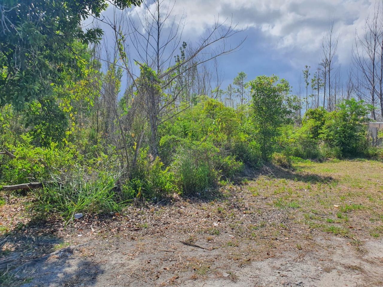 10 Acres in Andros