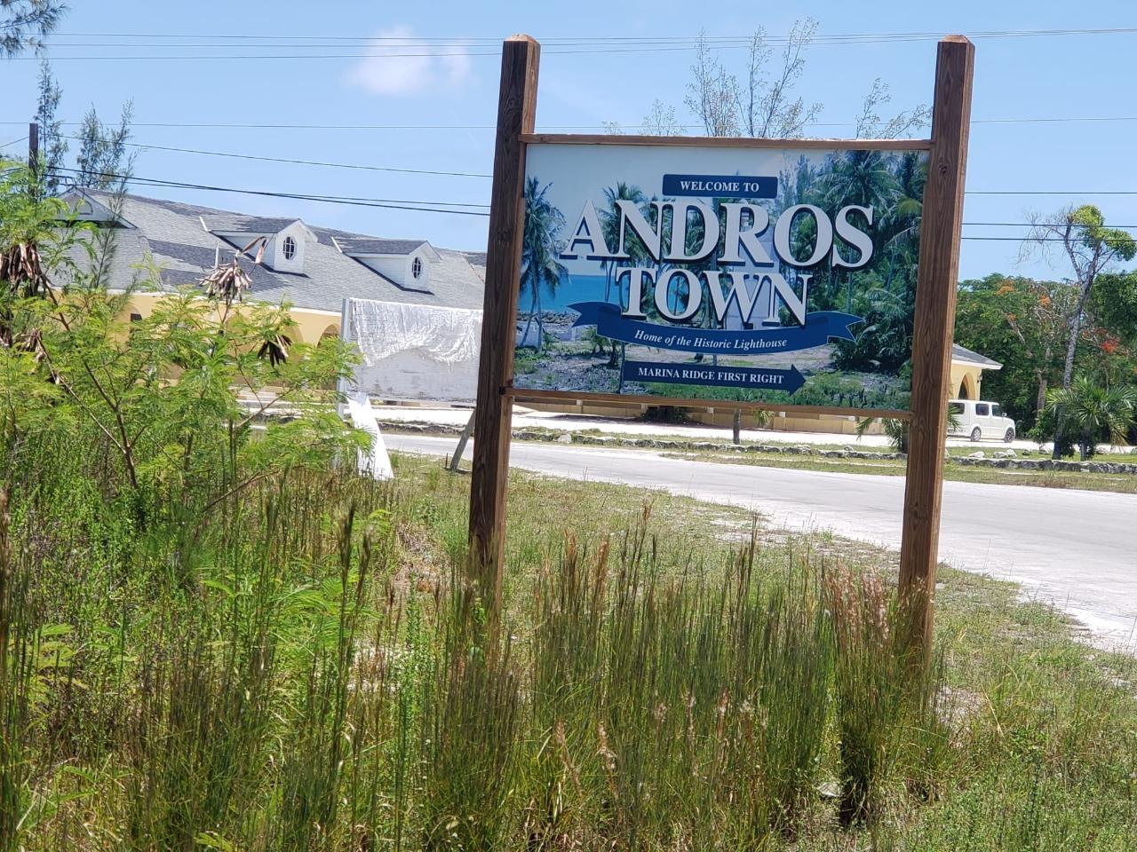 10 Acres in Andros