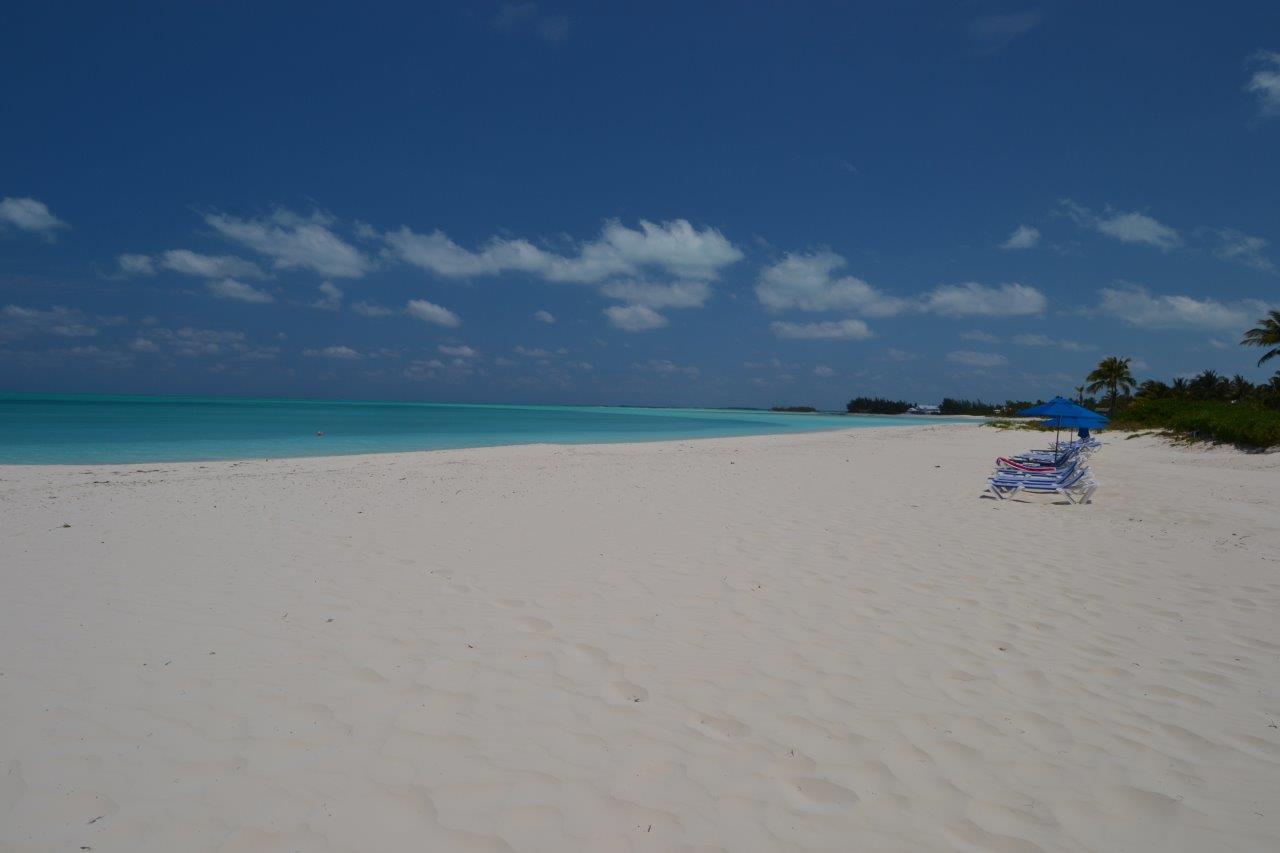 Bahama Beach # 2078