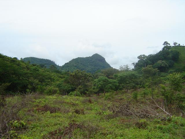 90 Hectare Land For Sale In Chame Panama
