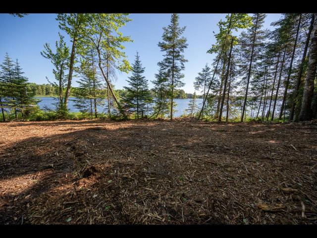 Clearwater Lake lot picture