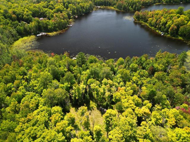 Oxbow Lake lot picture