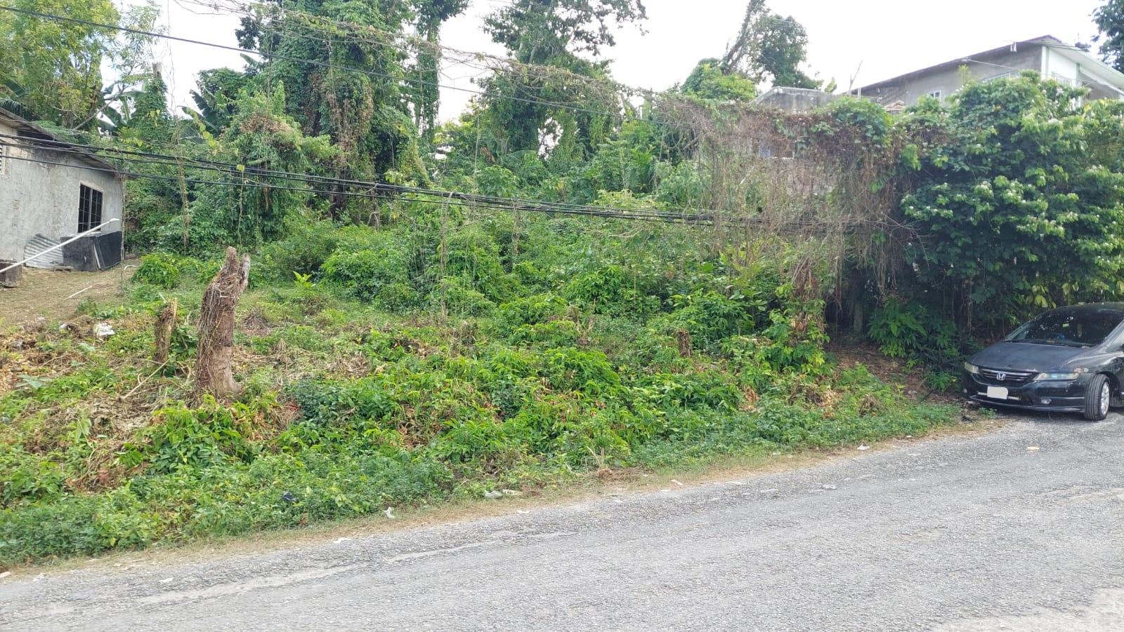 Lot 115- Horace Drive — Residential Lot in Orange Bay, Hanover, Jamaica